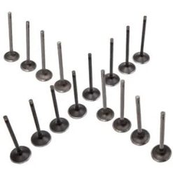 O'Reilly – 16 Exhaust Intake Valve 6mm for Saturn Ion L200 L100 LW200 2.2L 2.0L 12622329